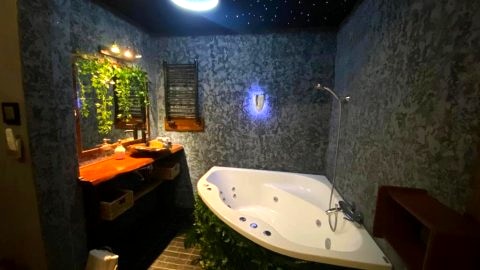 Tropicana Jacuzzi Apartment