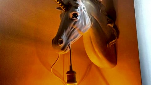 Unicorn Haven Apartament Przystań Jednorożca