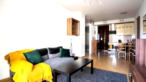 Golden Apartments Warsaw - Big and Bright Apartment in Platinum Towers - Grzyb61