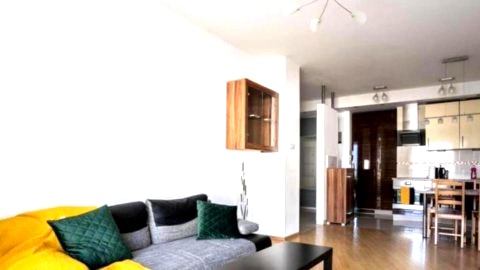 Golden Apartments Warsaw - Big and Bright Apartment in Platinum Towers - Grzyb61