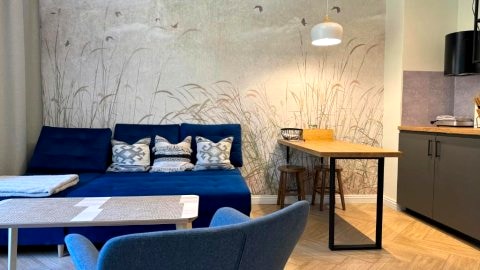 Apartament Centrum u Jana