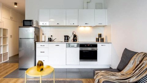 Golden Apartments Warsaw - Big and Bright Stylish Apartments  - Pereca 67