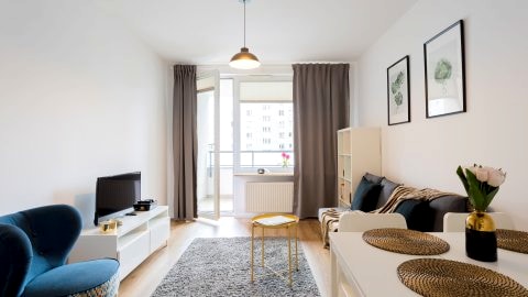 Golden Apartments Warsaw - Big and Bright Stylish Apartments  - Pereca 74