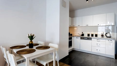 Golden Apartments Warsaw - Big and Bright Stylish Apartments  - Pereca 74