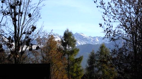 Apartamenty Zakopane. 2-pokojowe na ul. Sienkiewicza tylko 250m od Krupówek.
