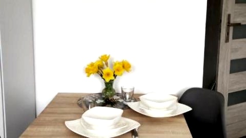 Apartament "Jeleń" Jelenia Góra - Cieplice