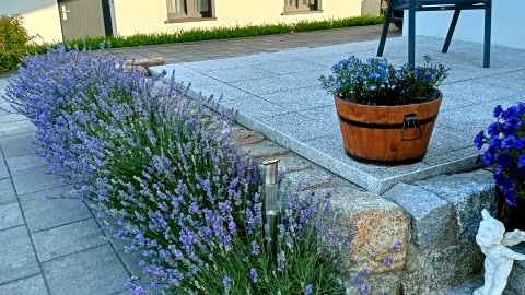 Apartamenty Jasieńczyk