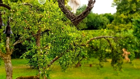 Komfortowe mieszkanie na wsi z tarasem  i ogrodem bisko plaży i jezior