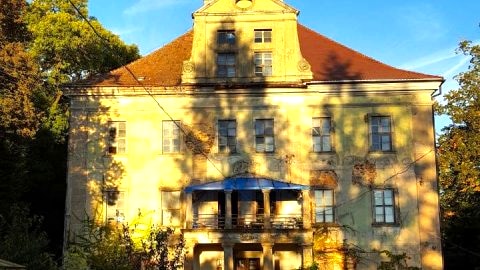 Pałac Rząsiny