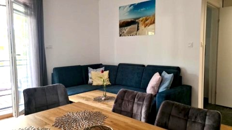 Apartament w sosnowym lesie