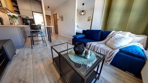Golden Apartments Katowice - Cozy and Bright - Old Town&Opolska