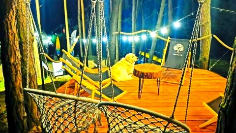 Nad Narvią - Glamp
