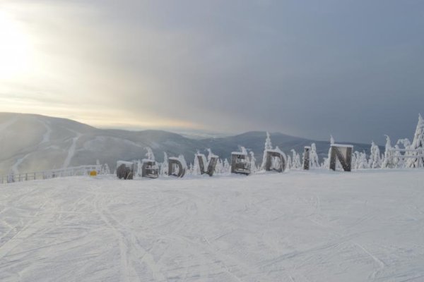 MEDVEDIN 1235 m - KARKONOSZE 