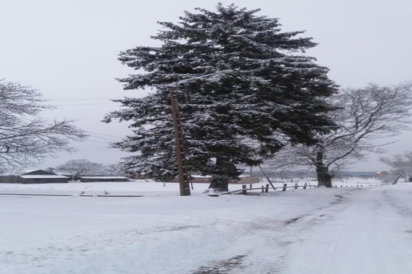 Przystanek Stręgielek