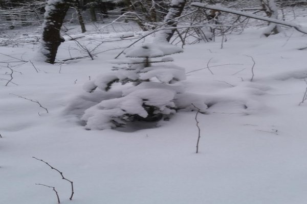 Przystanek Stręgielek