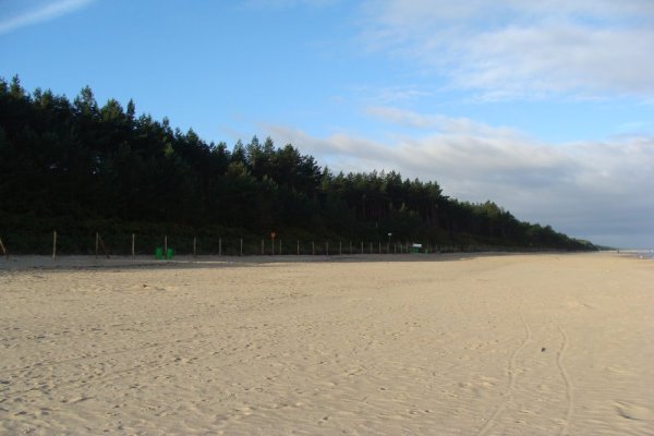 Plaża w Stegnie