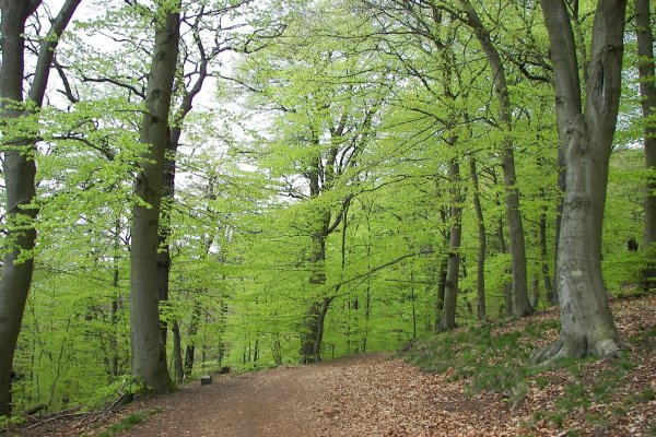 Paklenica National Park
