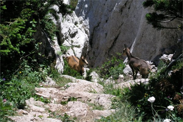Northern Velebit National Park