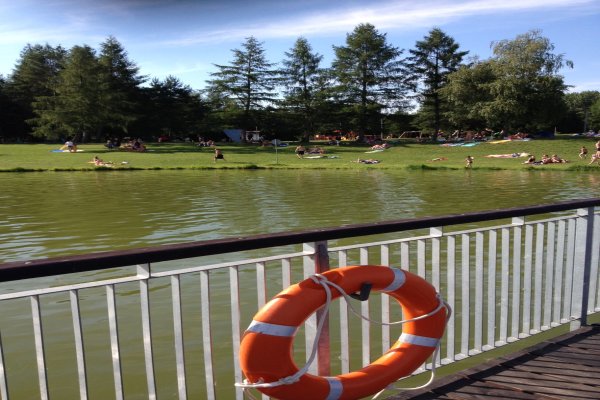 Kompielisko Stary Sącz  Stawy