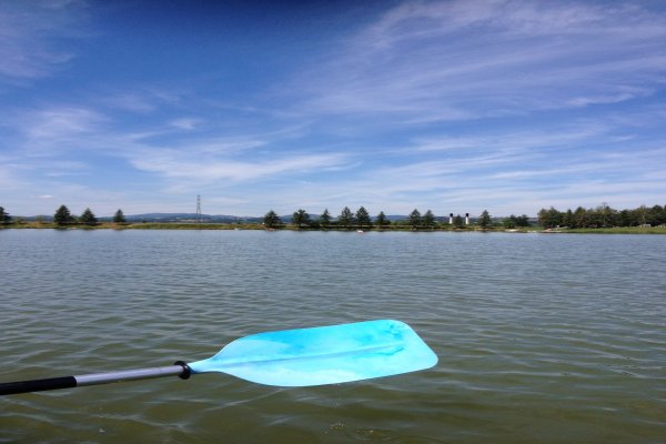 Kompielisko Stary Sącz  Stawy