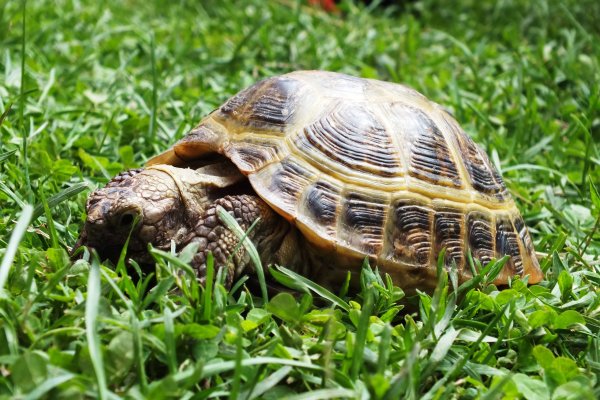 Mini-Zoo  Małe Ranczo