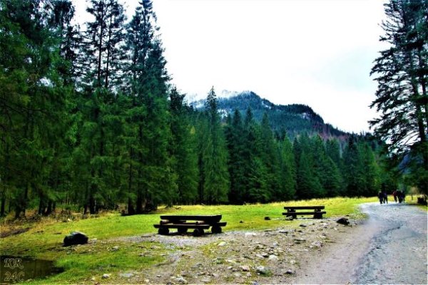 Dolina Kościeliska - Dolina Kościeliska