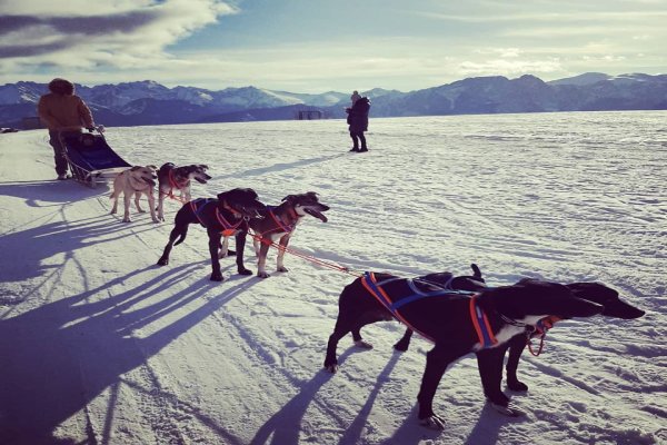 Rodzinna przygoda z psim zaprzęgiem - Psie zaprzęgi - Psy na biegunach przejażdżki i wyprawy dla całej rodziny, prawdziwa przygoda i ognisko w tipi.
