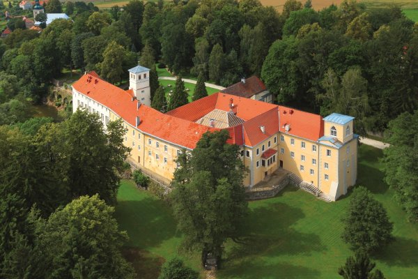 Zamek na Skale w Trzebieszowicach - Zamek na Skale