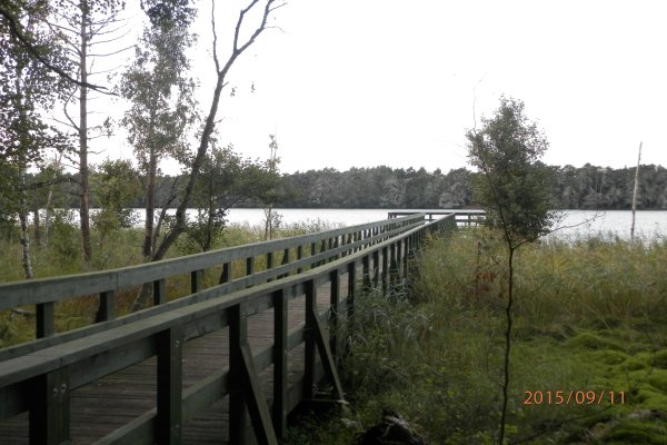 Słowiński Park Narodowy - Szlak z Czołpina na jeziora Dołgie 