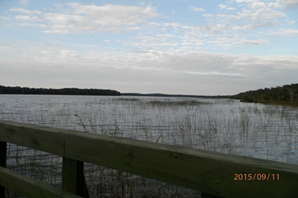 Słowiński Park Narodowy - Szlak z Czołpina na jeziora Dołgie 