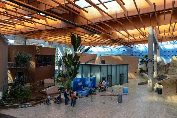 Afrykarium - ZOO Wrocław - Wrocławskie Zoo