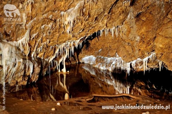Jaskinia Niedźwiedzia - Jaskinia Niedźwiedzia