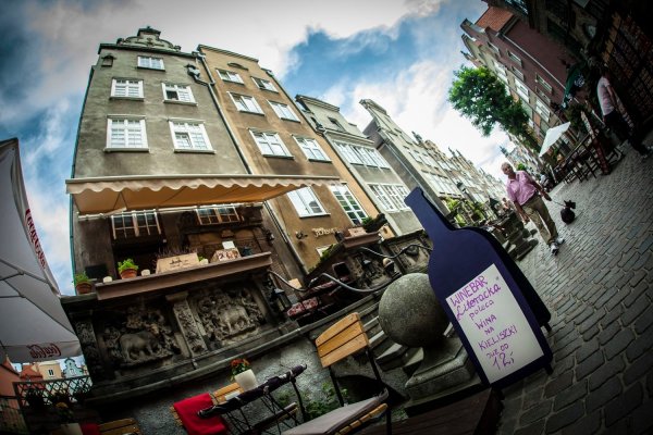 źródło:  https://literacka.wixsite.com/literacka