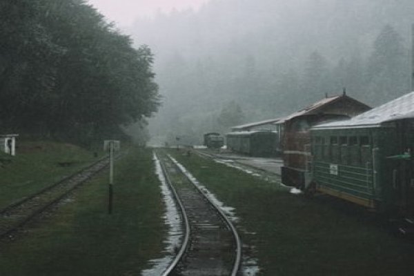 Bieszczadzka Kolej Leśna