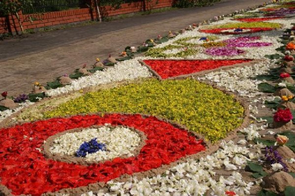 Kwietne dywany na Boże Ciało