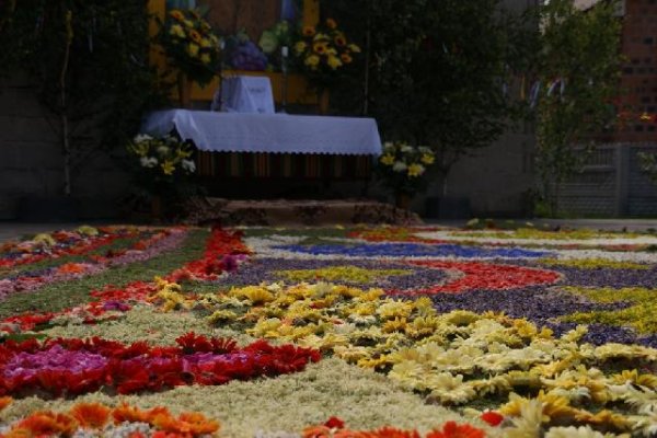 Kwietne dywany na Boże Ciało