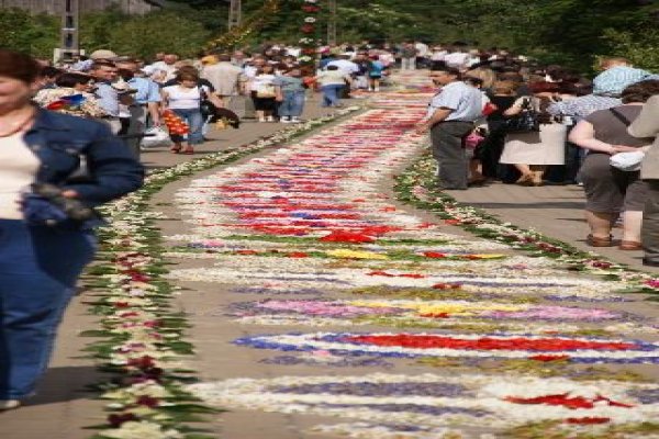 Kwietne dywany na Boże Ciało