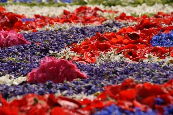 Kwietne dywany na Boże Ciało