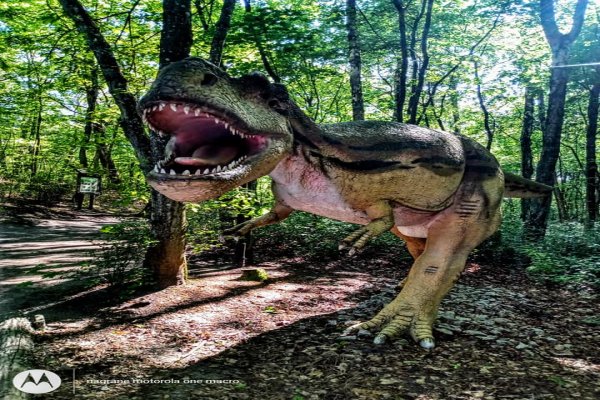 Łeba Park - Łeba Park