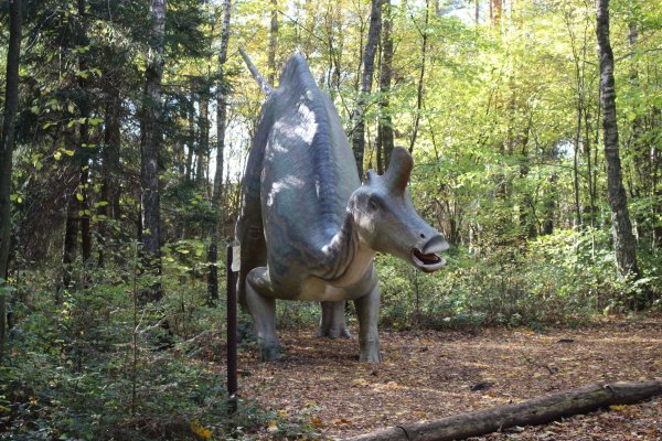 Łeba Park - Łeba Park