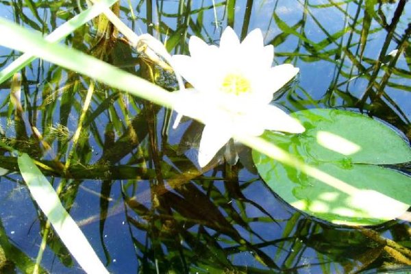 Spływ rzeką Krutynia