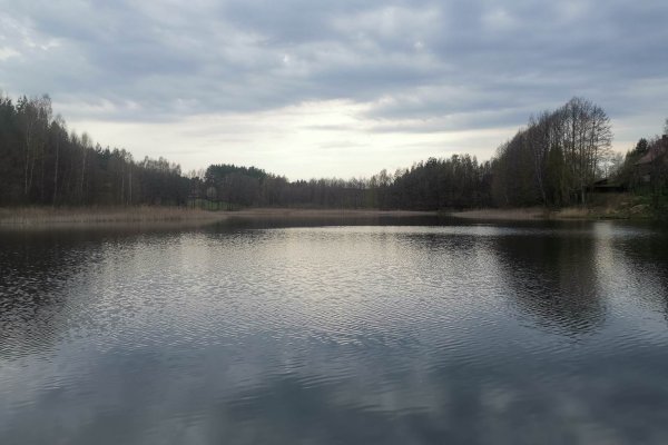 View of the lake - Lake Trzebciny