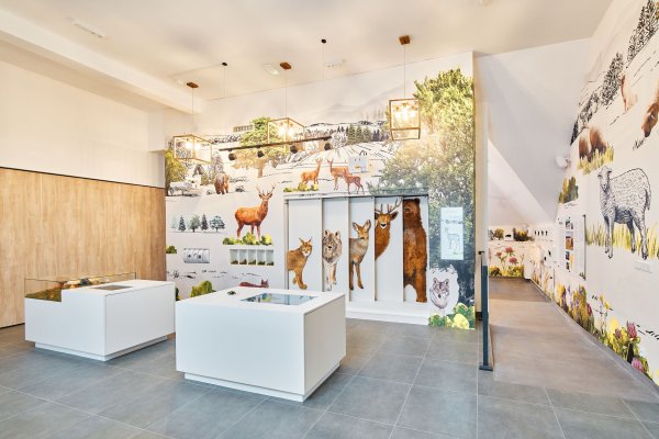 Pawilon edukacyjny - Centrum Przyrodniczo-Edukacyjne Brama w Gorce