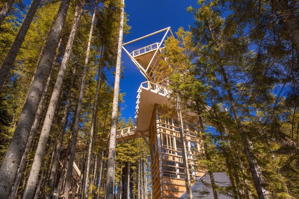 Wieża widokowa - Centrum Przyrodniczo-Edukacyjne Brama w Gorce