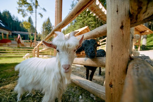Gorczańska zagroda - Centrum Przyrodniczo-Edukacyjne Brama w Gorce