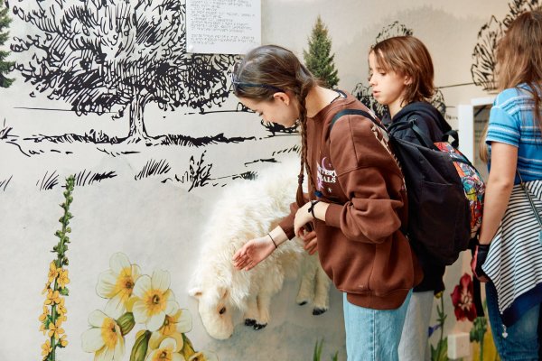 Pawilon edukacyjny - Centrum Przyrodniczo-Edukacyjne Brama w Gorce