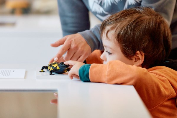 Pawilon edukacyjny - Centrum Przyrodniczo-Edukacyjne Brama w Gorce