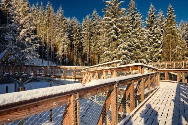 Centrum Przyrodniczo-Edukacyjne Brama w Gorce - Centrum Przyrodniczo-Edukacyjne Brama w Gorce