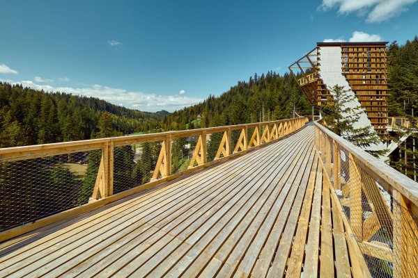 Wieża widokowa - Centrum Przyrodniczo-Edukacyjne Brama w Gorce