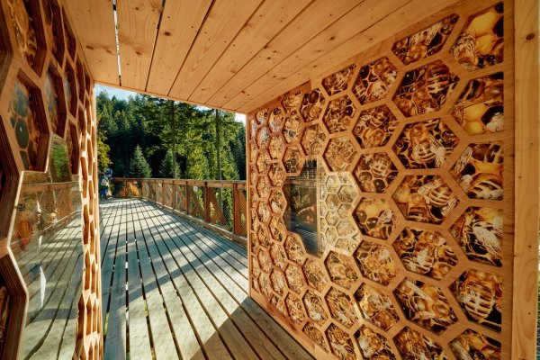 Gorczański ul - Centrum Przyrodniczo-Edukacyjne Brama w Gorce